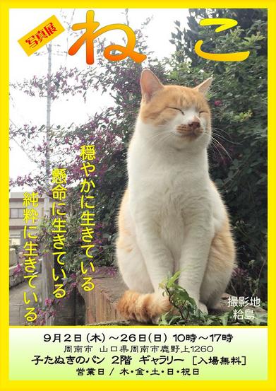 写真展ねこ 県内の風景と猫たち 9月2日 子たぬきのパン2階ギャラリー