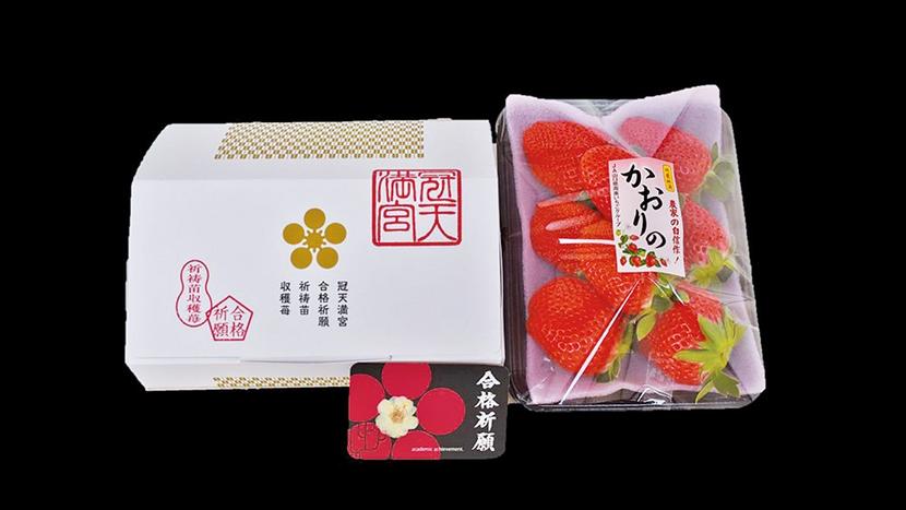 周南・下松・光】天神様のご加護あり 合格いちご、2月末まで販売